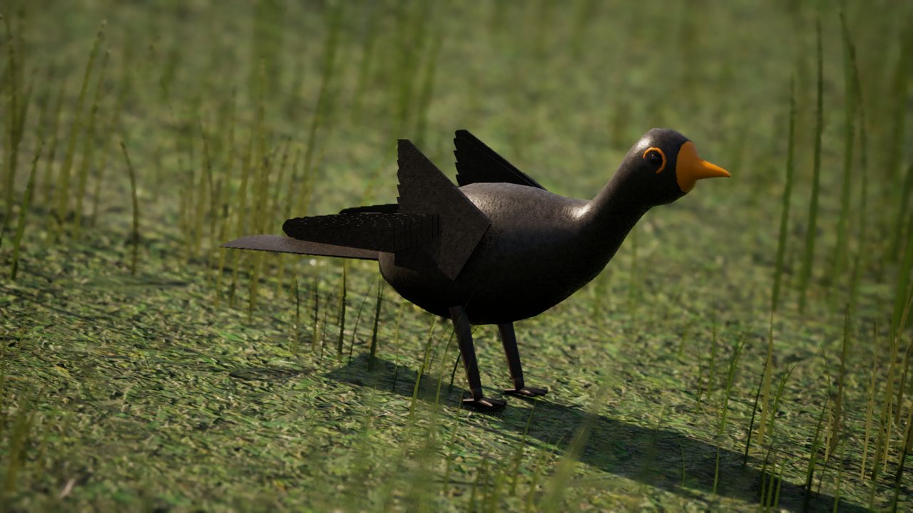 An all-black blackbird with an orange bill standing side-on in grass.