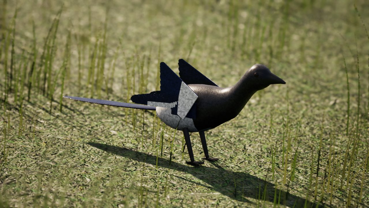 A black and white magpie with a long blue-black tail and a white shoulder patch standing side-on in grass.