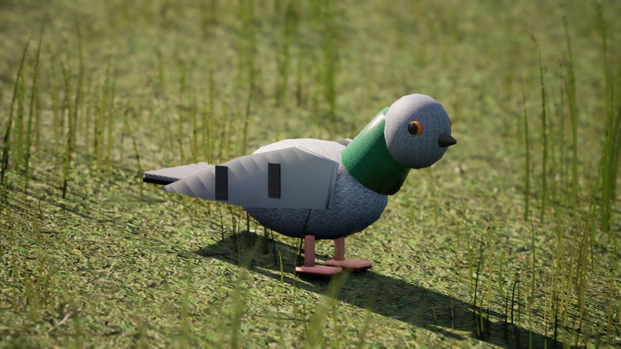 A grey feral pigeon with an iridescent green neck, orange eye and coral-pink feet standing side-on in long grass.