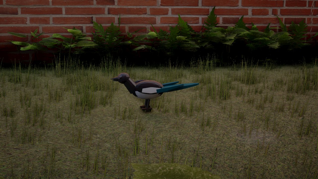 A black and white magpie with a long blue-green tail walking on rough grass in front of a red-brick wall and ferns.