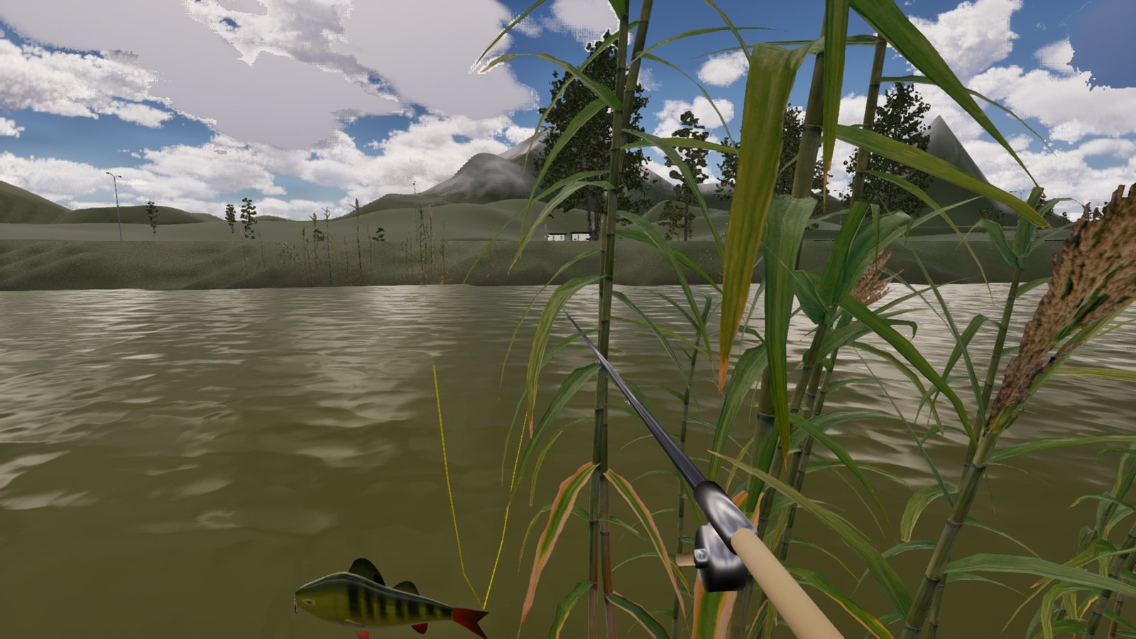 A perch held low on the left of the frame, clear of the rod, over the river. A thin yellow fishing line comes down from the rod tip and bends into a V near the fish's tail instead of running to its mouth.