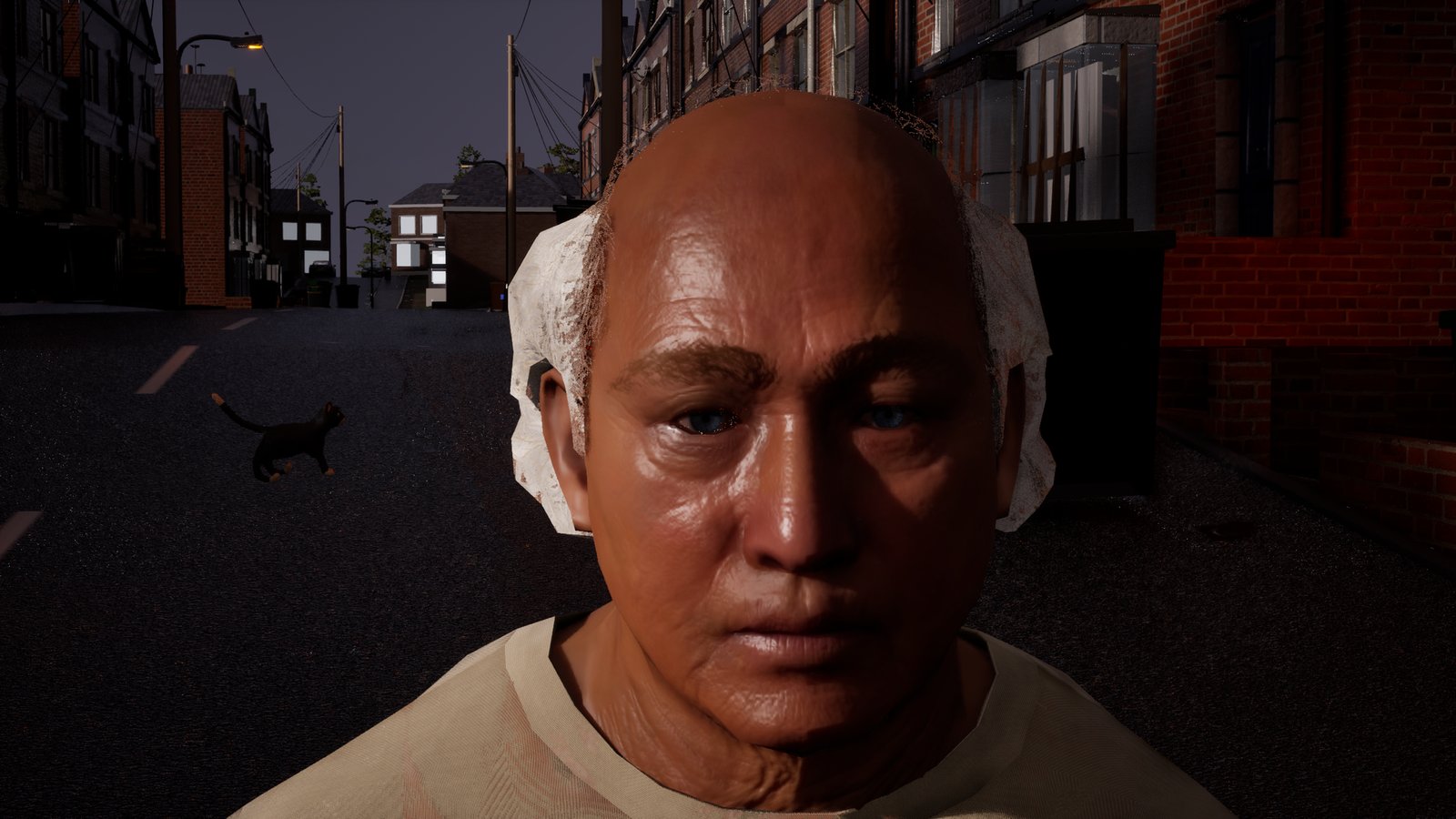 Close-up of an older bald man on a terraced street at night, a black cat crossing the road behind him. The hair round the sides and back of his head is a solid, crumpled white shell, like paper wrapped round his skull.