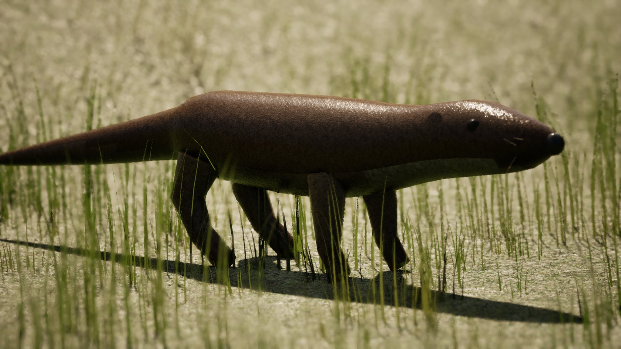A long-lensed shot of a brown otter walking through tall grass in low sun, seen from the side against a blown-out pale background. Its coat reads as short wet fur, the black nose and whiskers catch the light, and a single dark eye is clearly visible on the side of the head.