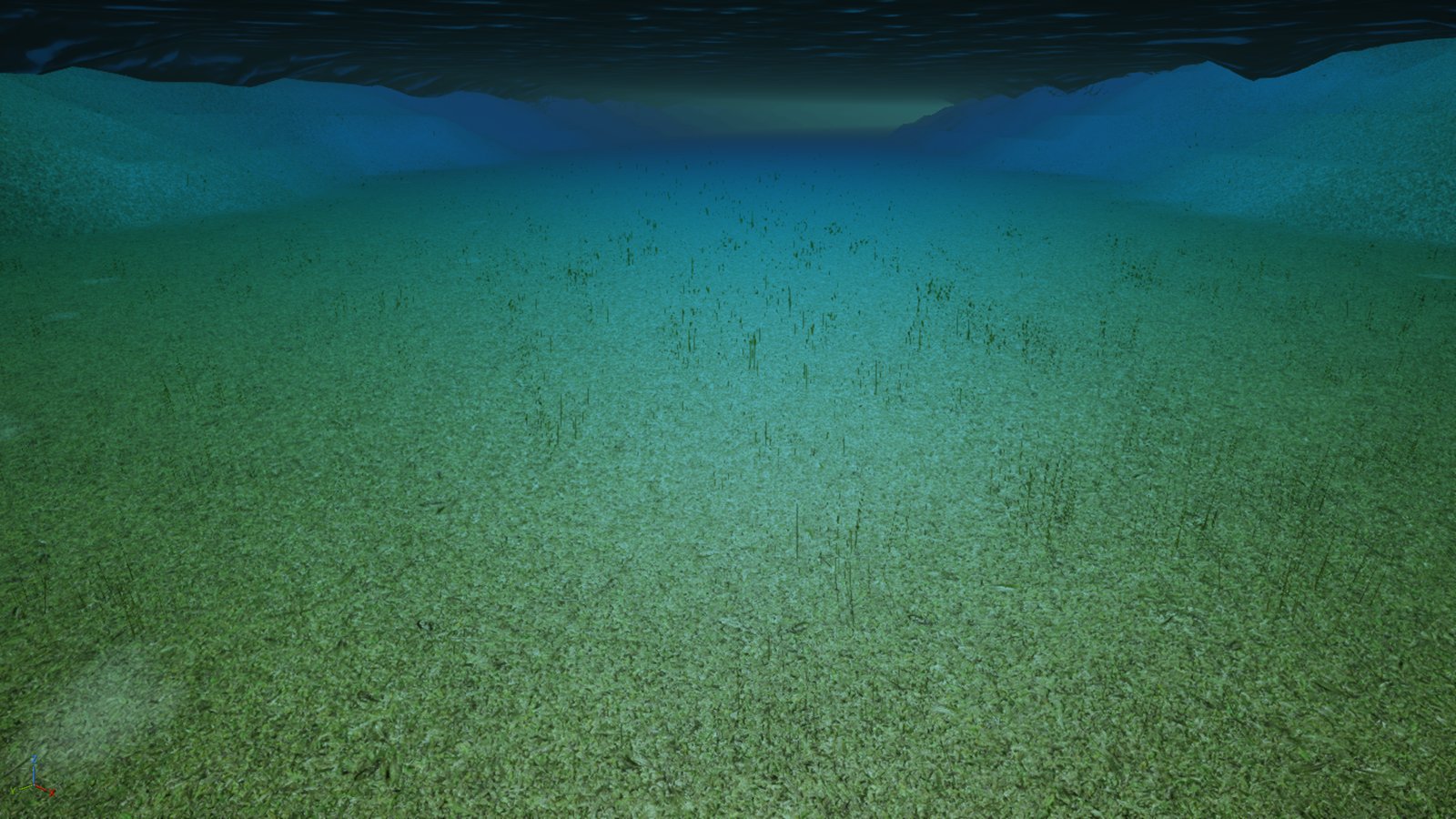 An underwater view along a riverbed. The bottom is covered edge to edge in green grass with individual blades standing upright out of it, fading to blue-green in the distance, with the underside of the water surface dark across the top of the frame.
