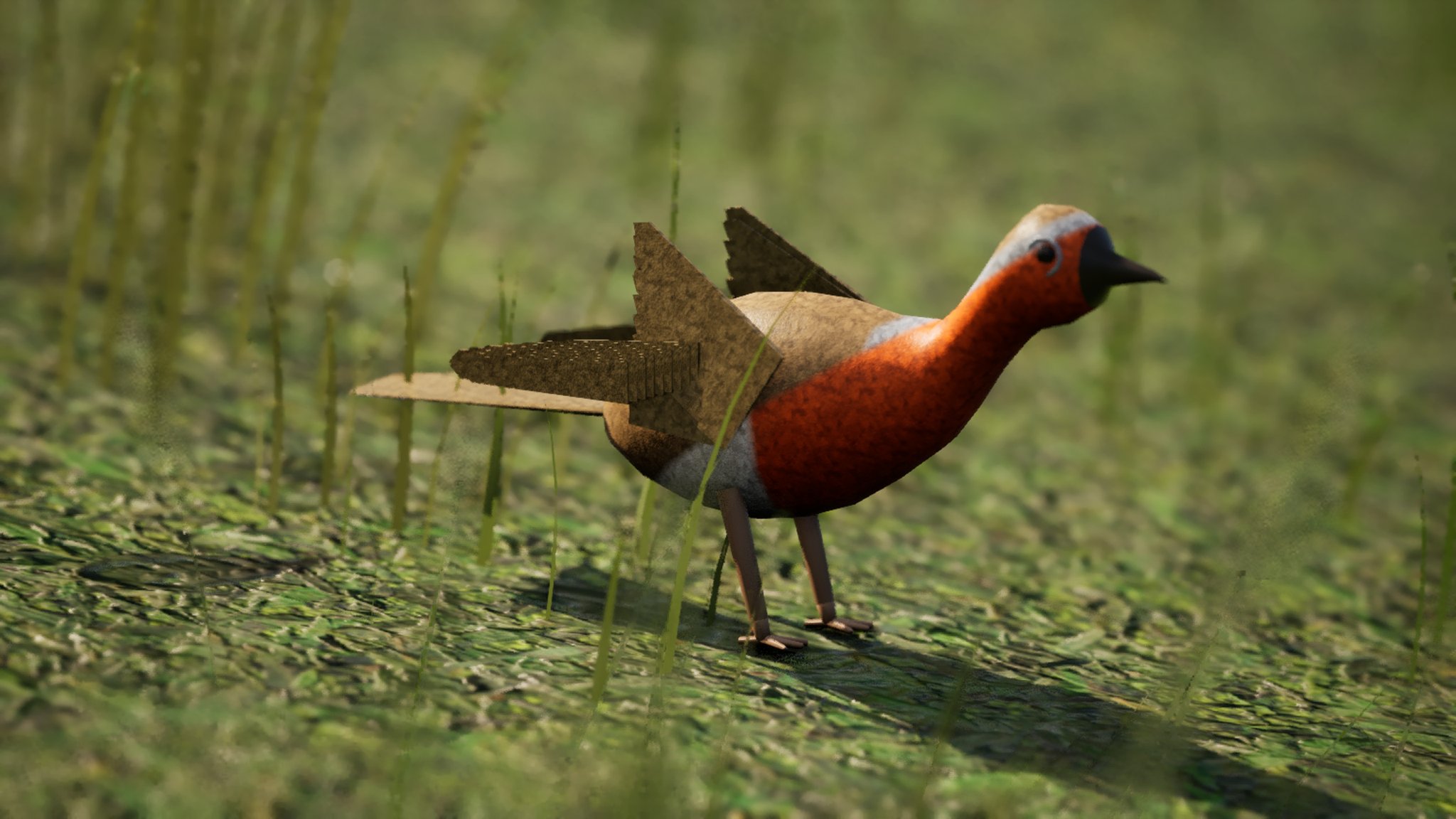 A robin standing in grass, orange on its face and breast, brown on its back and head, white under the belly, with flat card-like wings and tail.