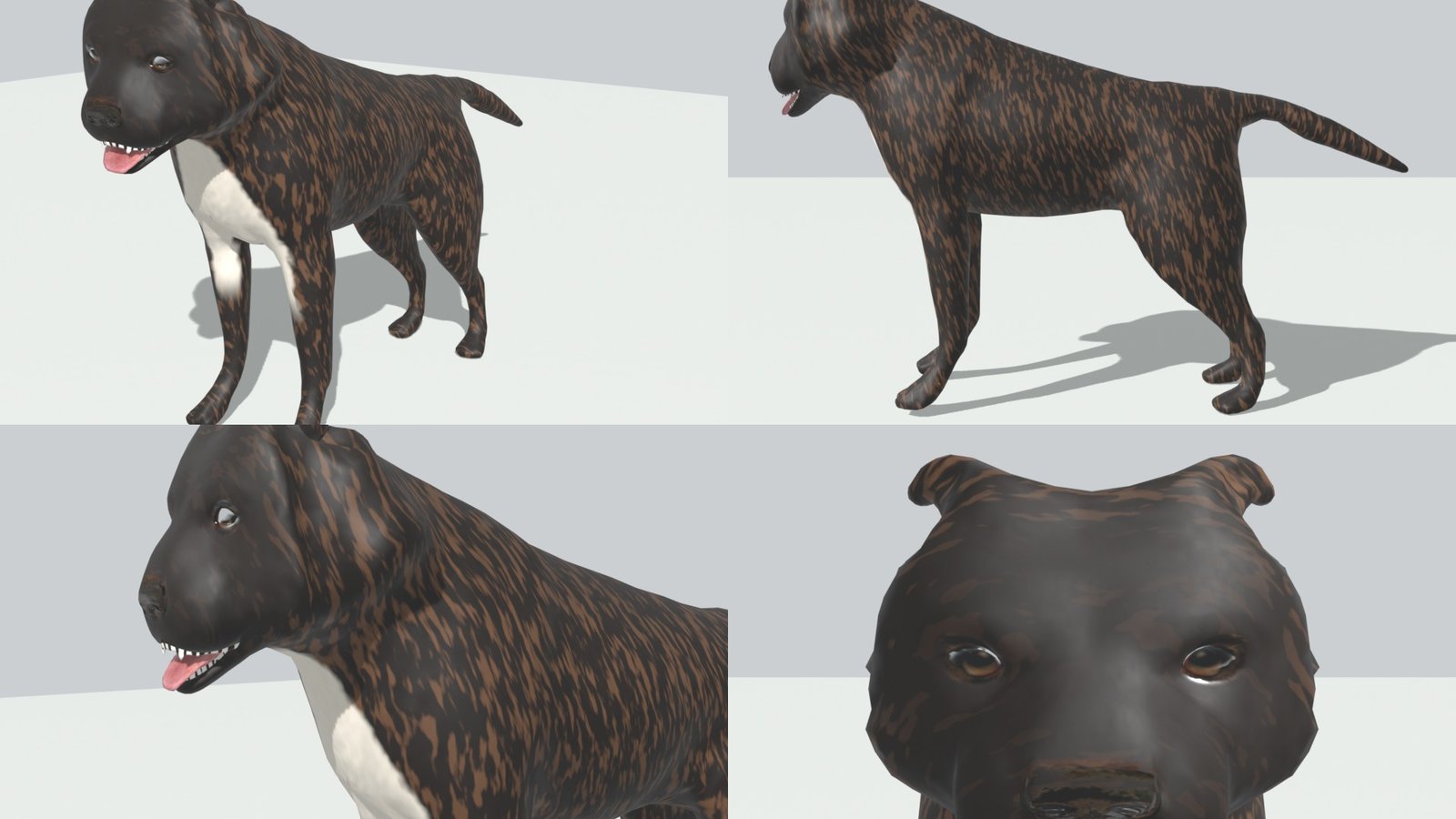 Four renders of a dark brindle Staffordshire Bull Terrier on a plain grey floor: standing three-quarter on, side on with his tail out, a close view of his head and white bib, and a face-on close-up with brown eyes, rose ears and his mouth open.